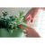 DLD250 Цветочный горшок LIMES DUBLO 250мм, микс, Prosperplast DLD250 Цветочный горшок LIMES DUBLO 250мм, микс, Prosperplast
